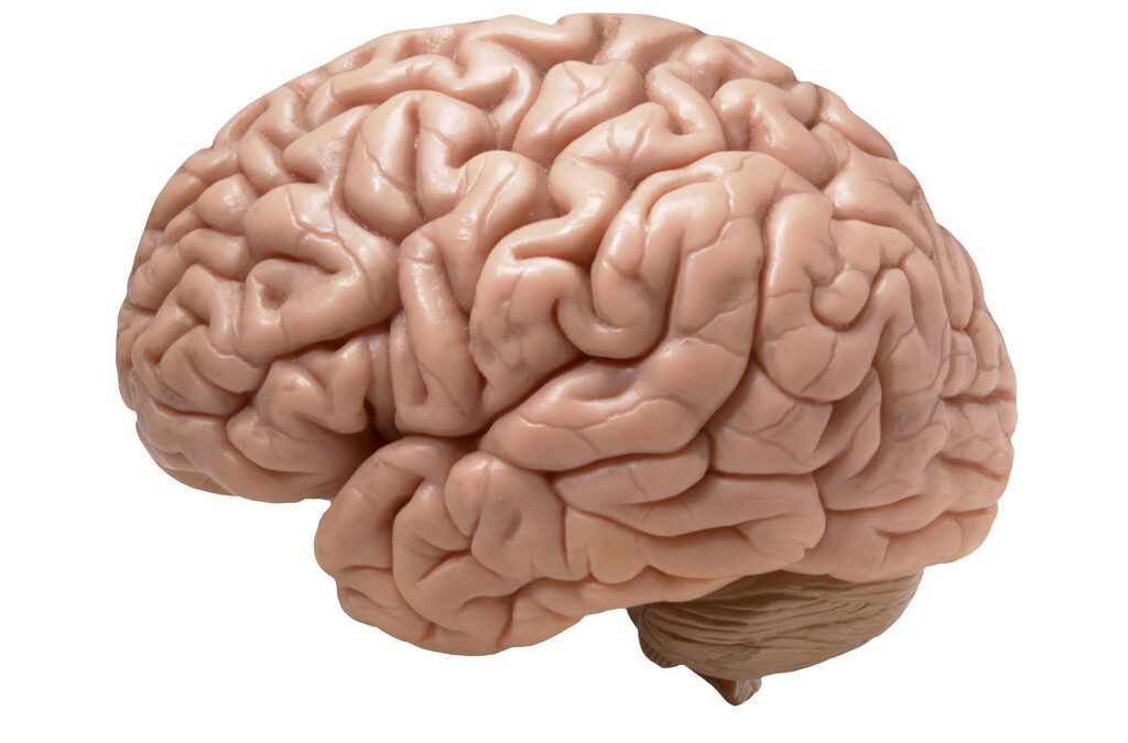 Trastorno del espectro de neuropatía auditiva