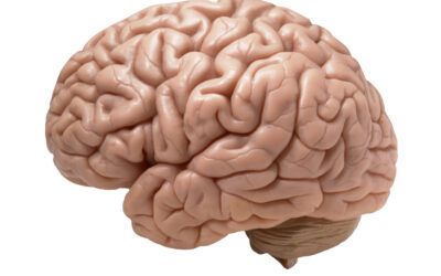 Trastorno del espectro de neuropatía auditiva